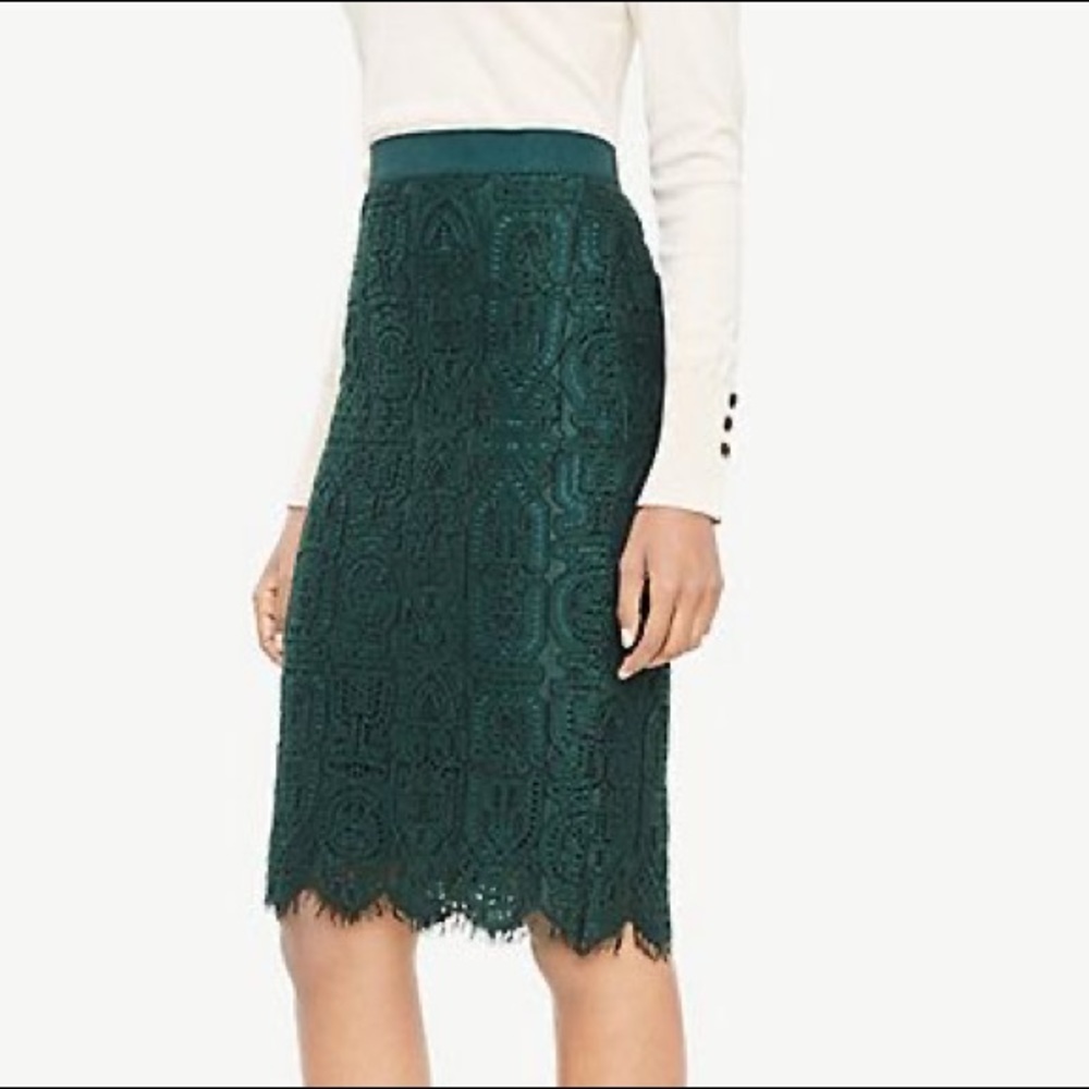 Ann Taylor Lace Pencil Skirt